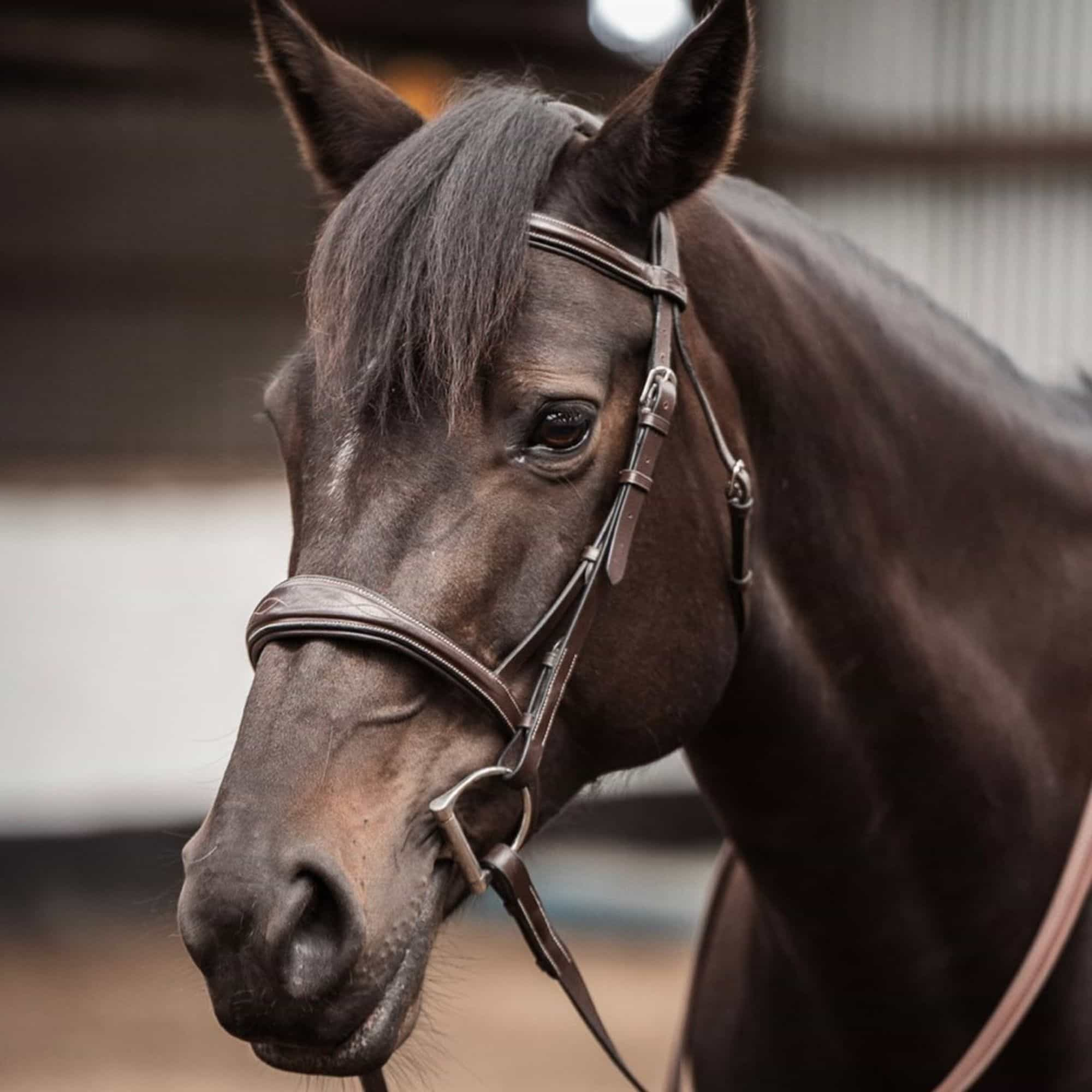 Fancy Stitched Anatomical Bridle Reins without Flash - Bridles & Reins