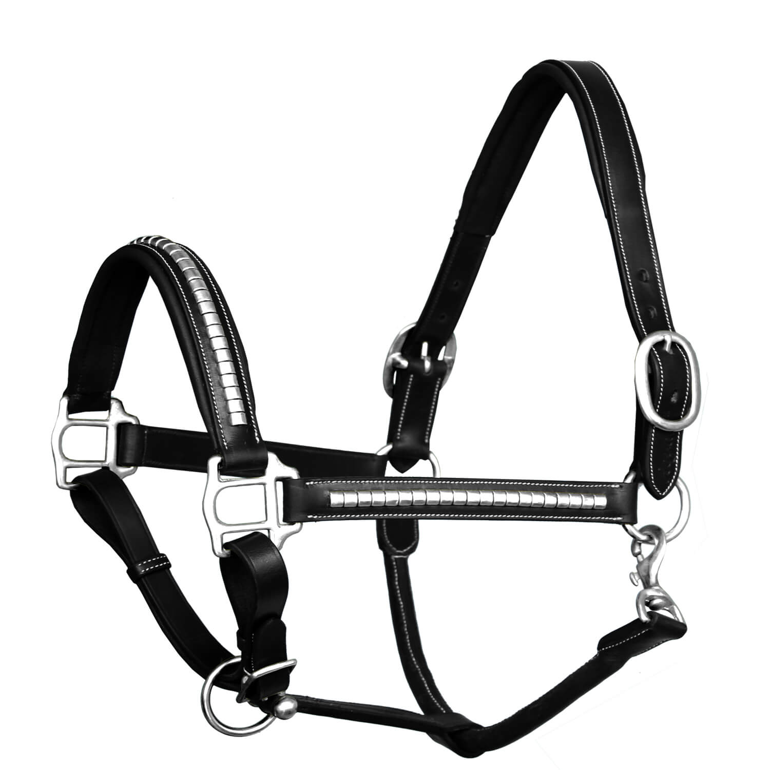 Medium Leather and Silver Western Horse Show Halter with Matching Lead and  Chain
