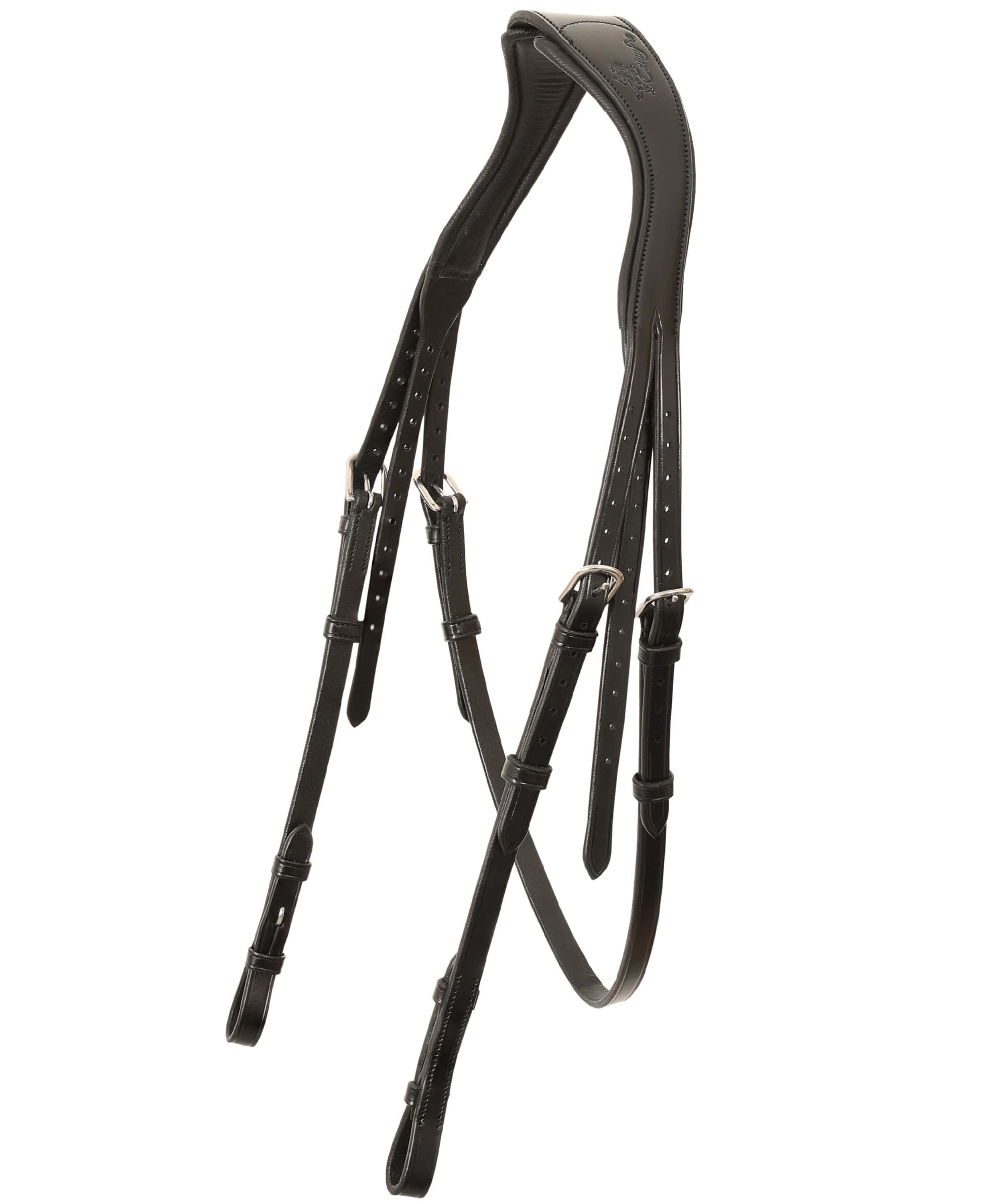 ExionPro 'Ursa' Anatomic Dressage Bridle | Dressage Bridles – Bridles ...