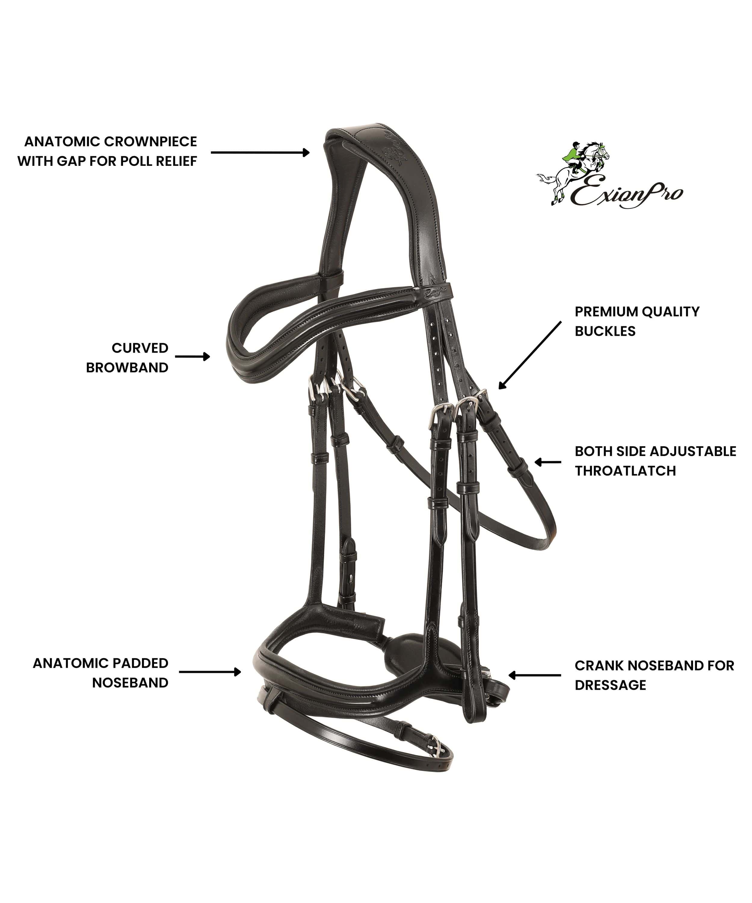 ExionPro 'Ursa' Anatomic Dressage Bridle | Dressage Bridles – Bridles ...