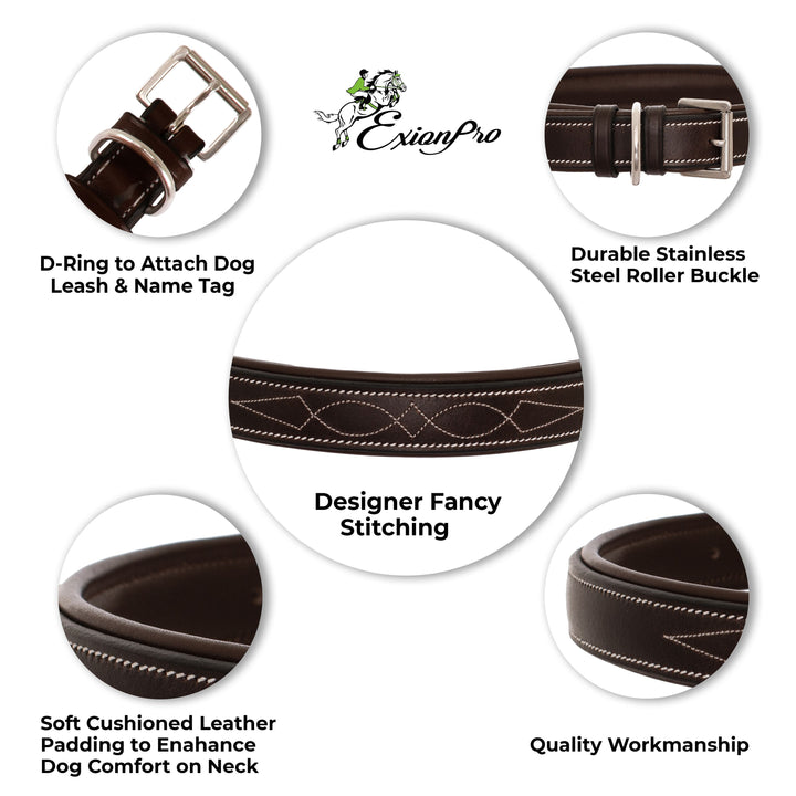 ExionPro Fancy Stitched Padded Leather Dog Collar - White Padding-Dog Collars-Bridles & Reins