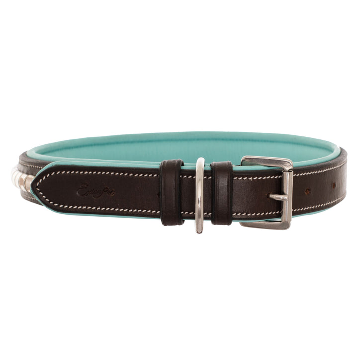 ExionPro Silver Clincher Padded Leather Dog Collar - Sky Blue Padding-Dog Collars-Bridles & Reins