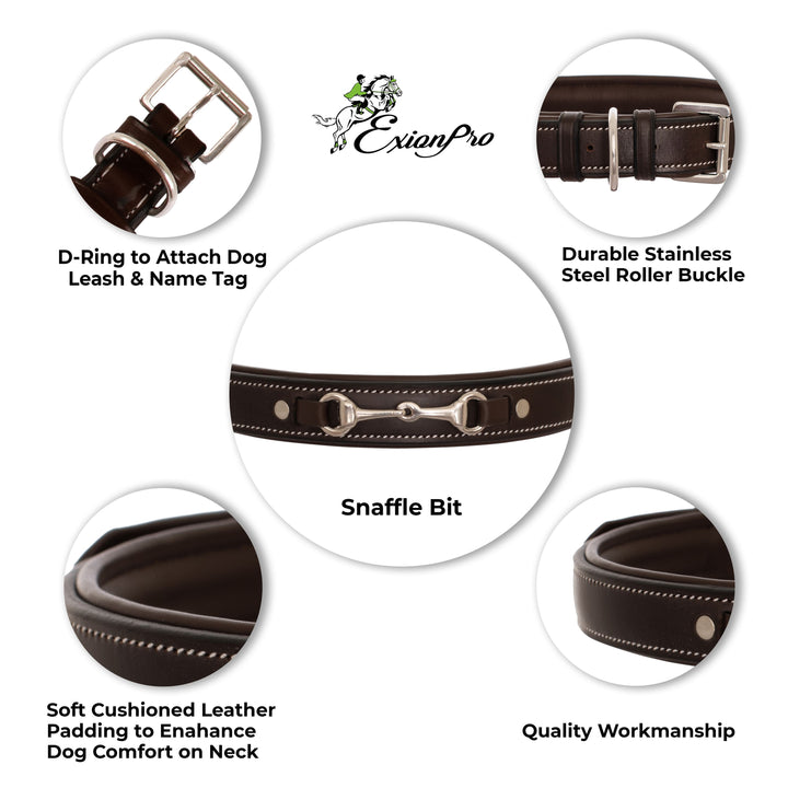 ExionPro Silver Snaffle Padded Leather Dog Collar - White Padding-Dog Collars-Bridles & Reins